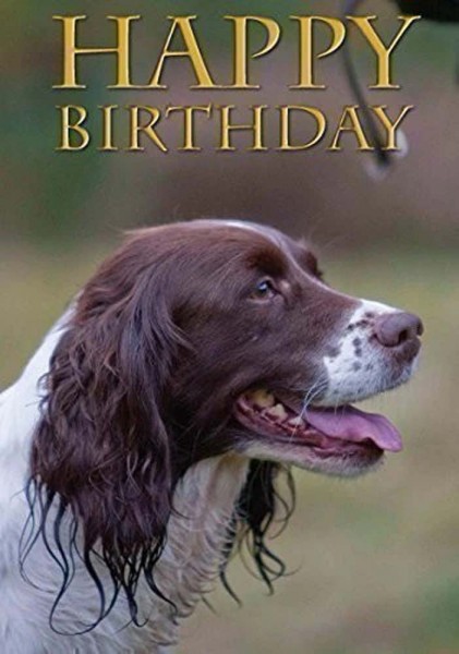 Grußkarte "Happy Birthday"