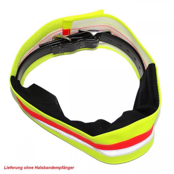 Hundehalsband Fix Pro für Ferntrainer 1